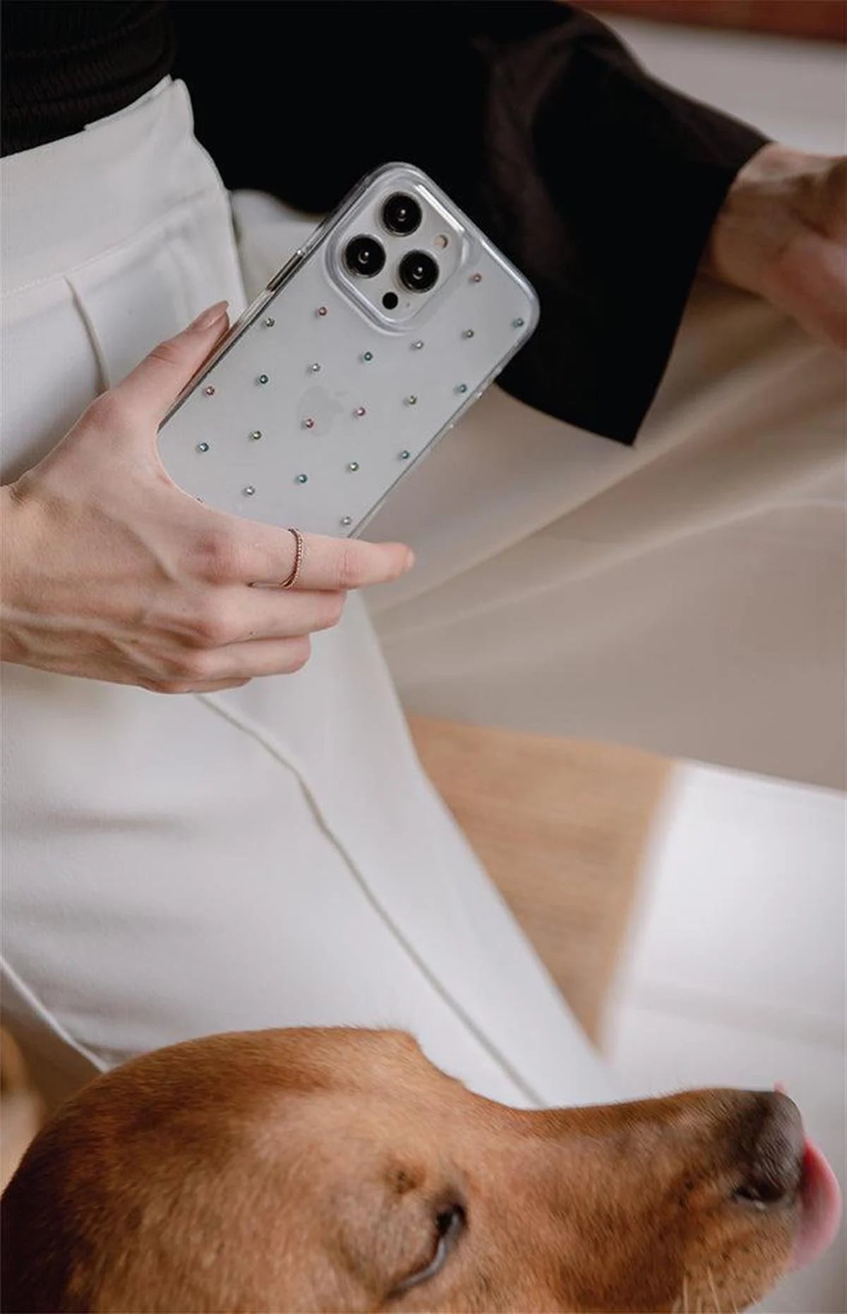 iPhone 14 Pro Coehl Solitaire Telefon Kılıfı