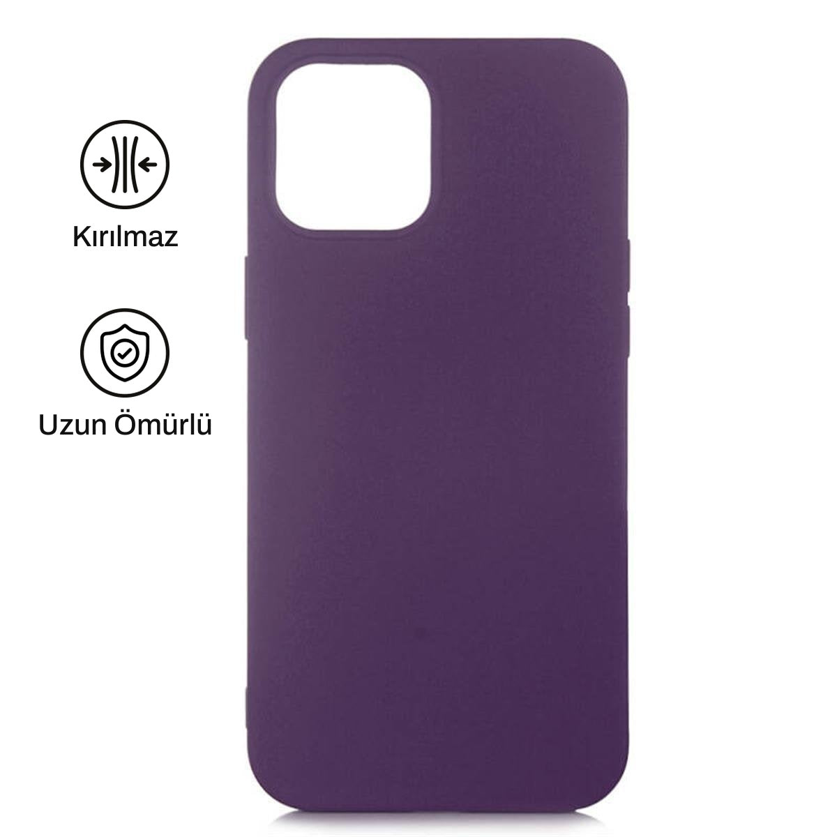 iPhone 12 ile Uyumlu Silikon Lansman Telefon Kılıfı | bastcase